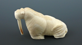 Ivory23
