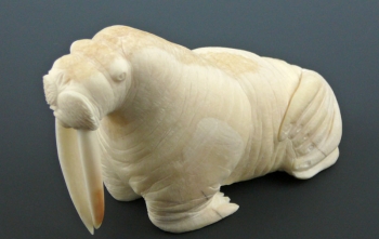 Ivory23