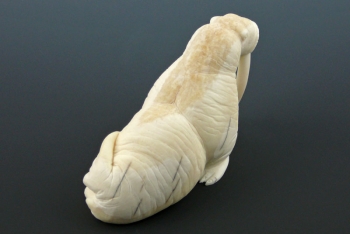 Ivory23