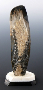 Ivory51