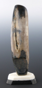 Ivory51