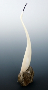 Ivory68