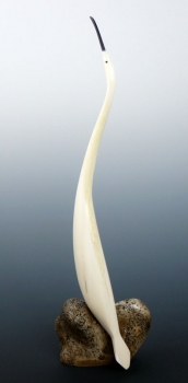Ivory68